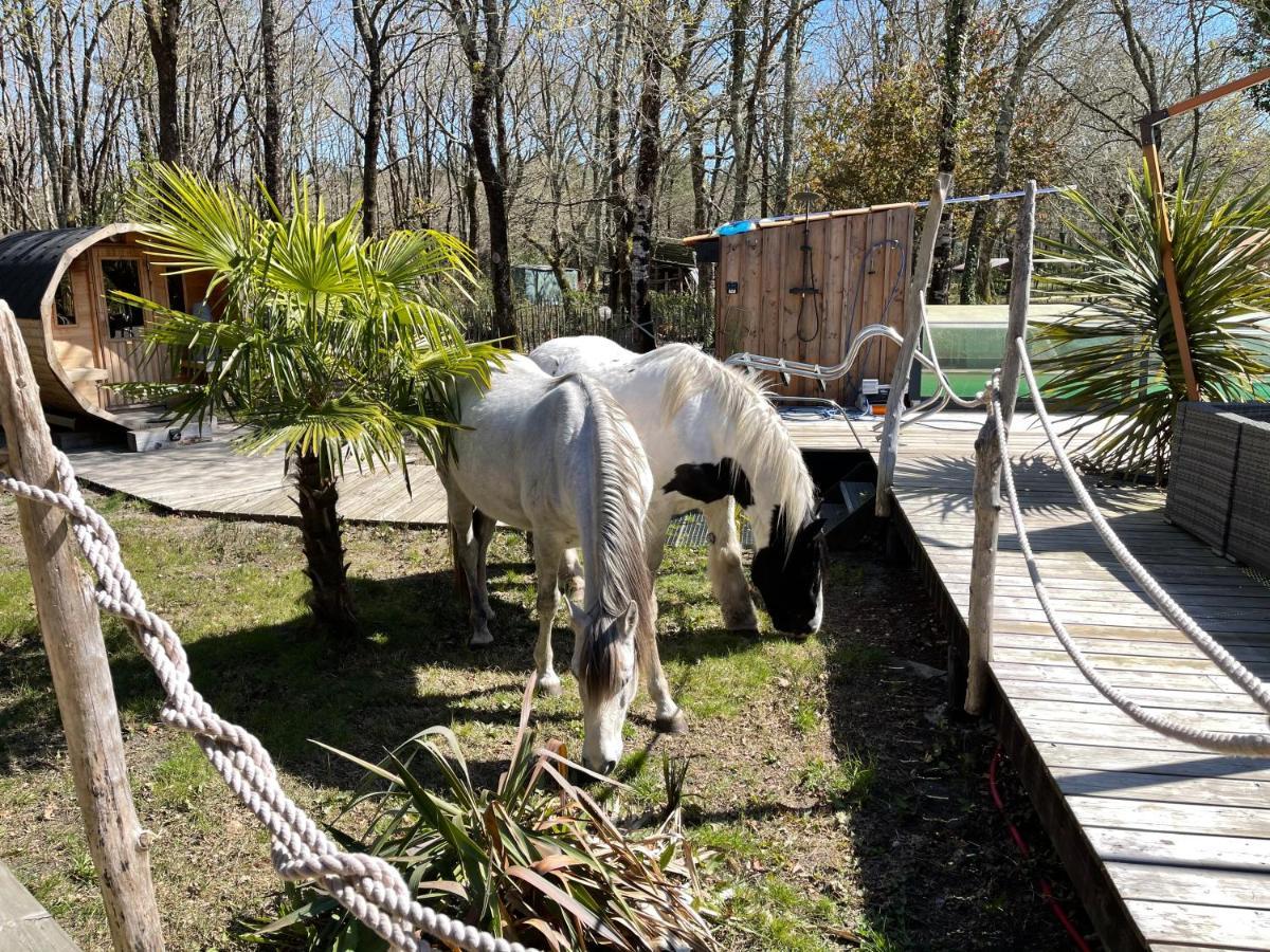 Bed & Breakfast Au Bois Flotte