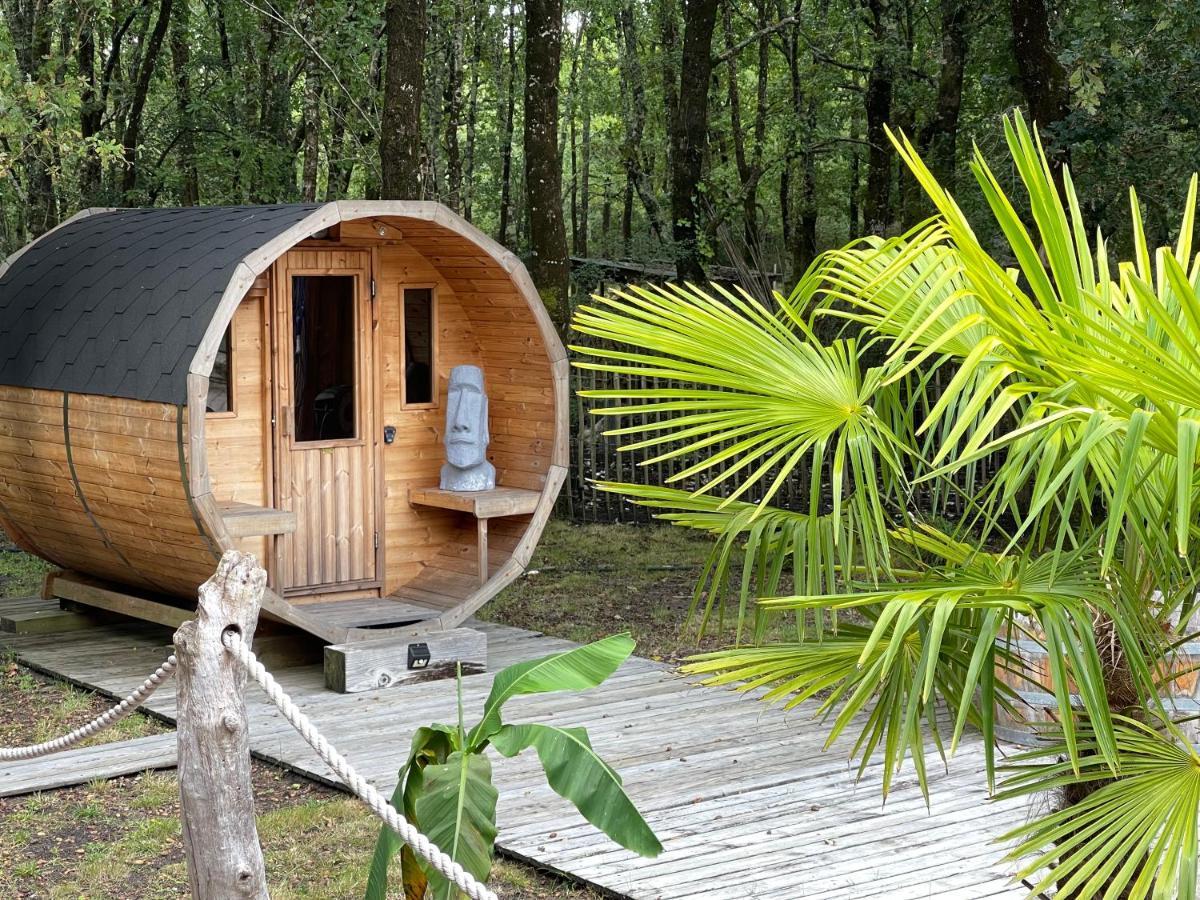 Au Bois Flotte Bed & Breakfast Hourtin